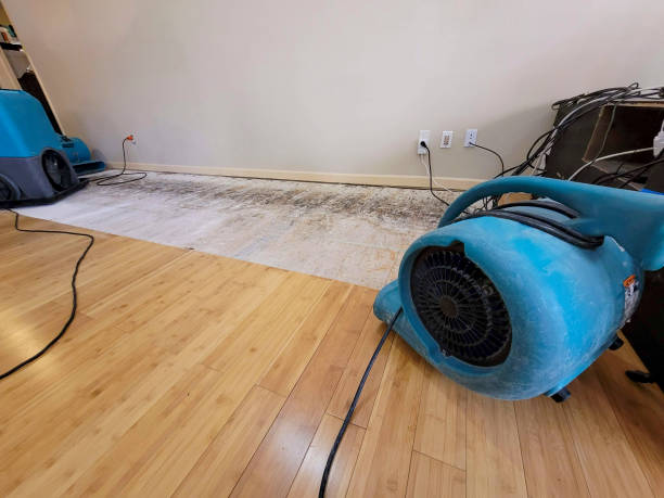Professional Ceiling Water Damage Repair technician working in Dyer, IN